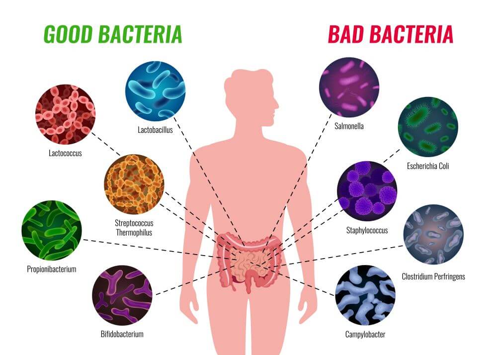 What are the ingredients of Biofit