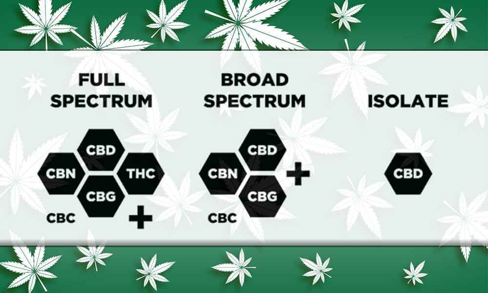 different-types-of-CBD