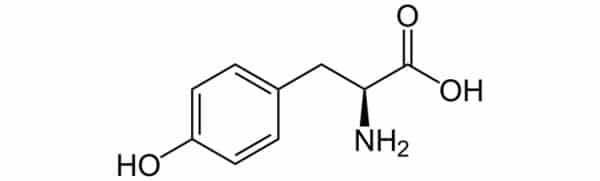 L-Tyrosine