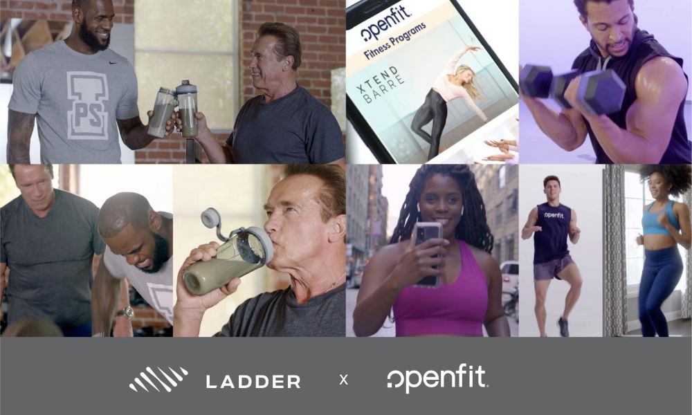 Openfit-Ladder Arnold