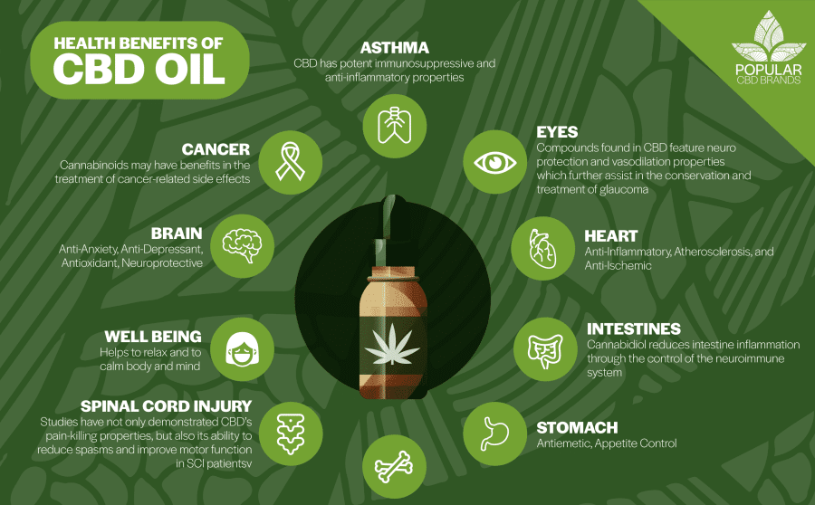 American Shaman CBD Benefits