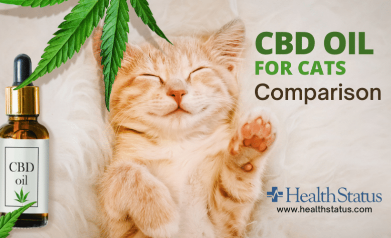 CBD Oil for Cats