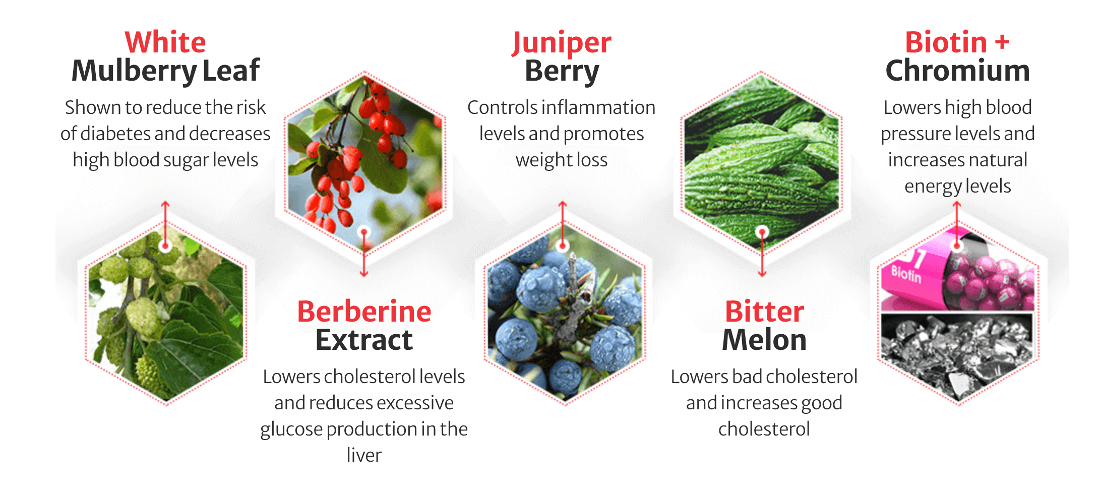 Ingredients of Blood Balance