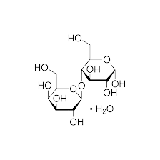 Lactose monohydrate